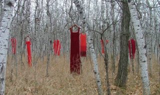 فساتين معلقة على الأشجار ضمن حملة الفستان الأحمر 3