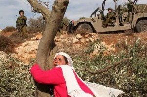 المرأة الفلسطينية في مواجهة الاحتلال الإسرائيلي/ WAFA
