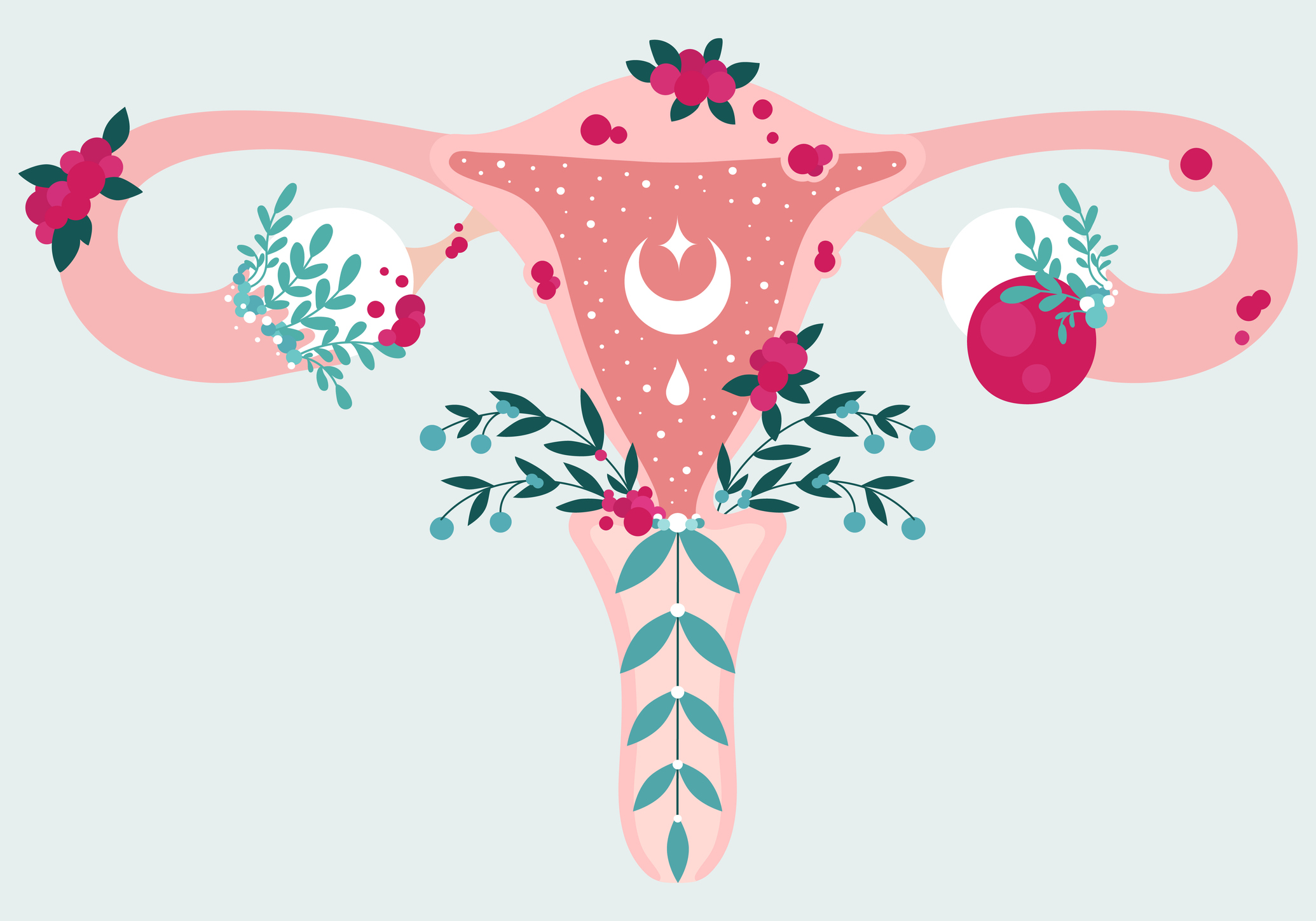diagram of Reproductive system