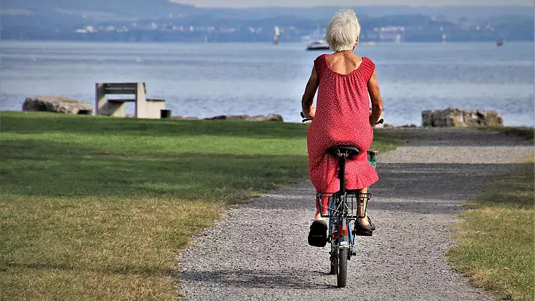 نظام ضمان الشيخوخة في سويسرا