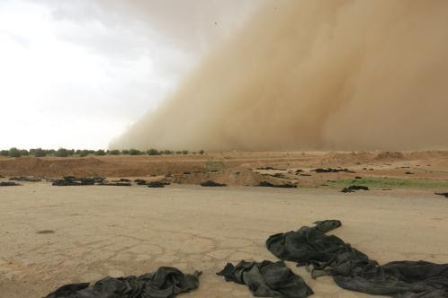النقاب على الرمال بعد تحرير الرقة من داعش