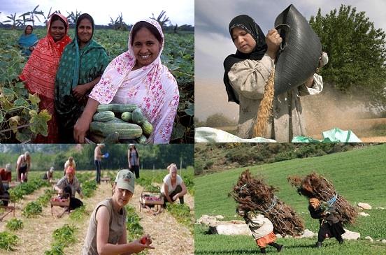 اليوم الدولي للمرأة الريفية 2017
