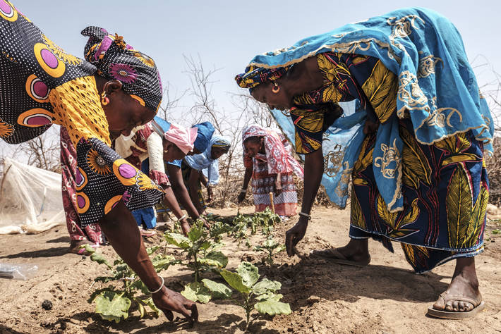 نساء يعملن في حديقة نباتية بقرية ندياما بوله، السنغال/ منظمة الفاو