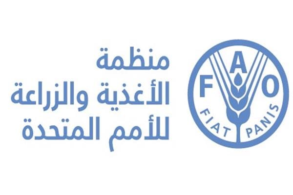FAO منظمة الفاو