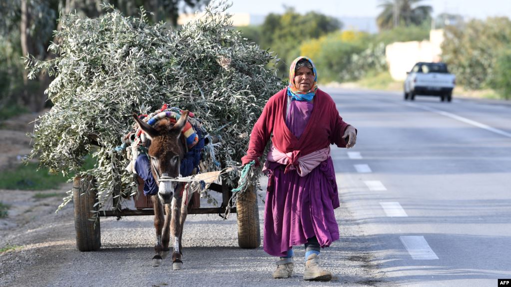 امرأة ريفية تونسية في مدينة القيروان/ AFP