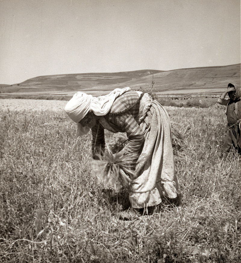 Alawite woman gleaning in 1938/ wikipedia