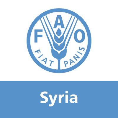 منظمة الفاو/ سوريا
